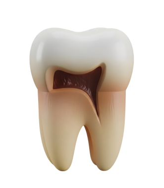 Çürümüş Azıdişi ve Minimalist 3D Yumuşak ve pürüzsüz Yapılandırıcı