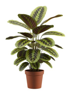 Ot Minimalist 3D Evbitkisi Yumuşak ve Yumuşak Hazırlama