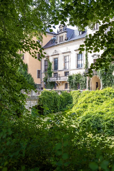 Belle Vue Travers Les Buissons Verts Ancien Château — Photo