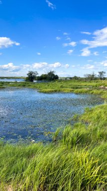 Yansıyan bulutlarla gölün yüzeyinin güzel manzarası