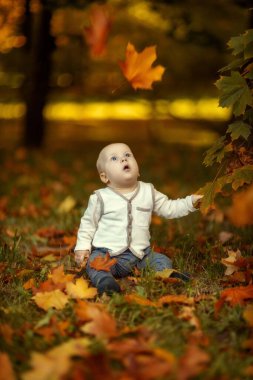 a small child sits in autumn yellow leaves