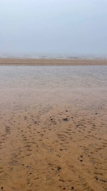 beautiful sandy seashore in fog