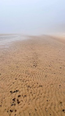 beautiful sandy seashore in fog