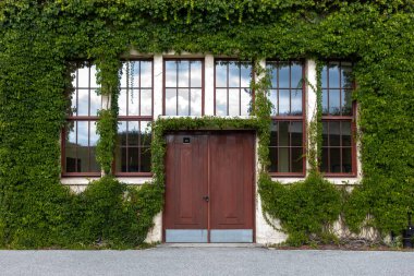 Tahta kapı ve yeşil sarmaşık bir binanın ön cephesinde.