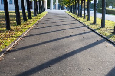 Sonbaharda ağaçlar ve çimlerle parkta yaya geçidi