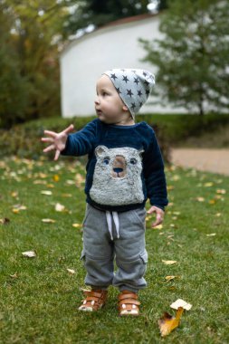 Sonbahar parkında çimlerin üzerinde küçük bir çocuğun portresi..