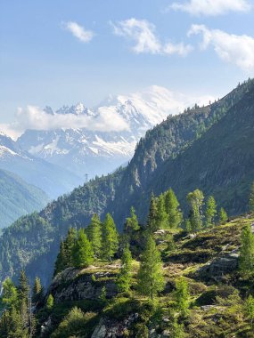 İsviçre 'de Mont Blanc ve yeşil Alp Vadisi manzarası