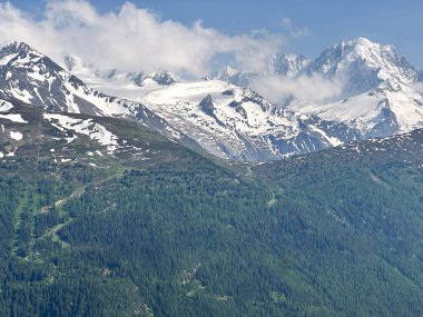 İsviçre 'de Mont Blanc ve yeşil Alp Vadisi manzarası