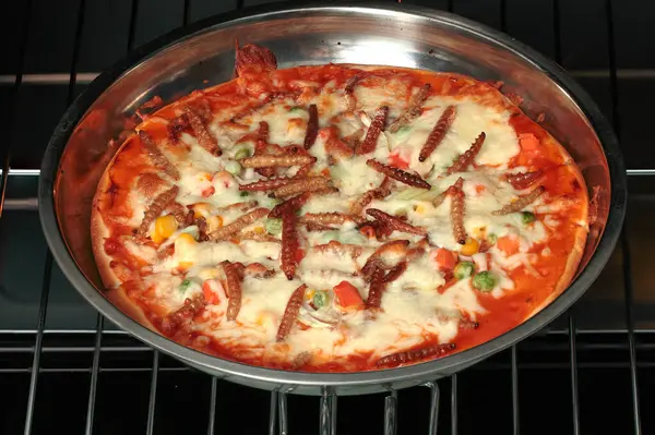 stock image Pizza is baked in the oven on the racks with various toppings such as cheese, insects, vegetables, and meat with warm, vibrant colors of the pizza and mouthwatering.