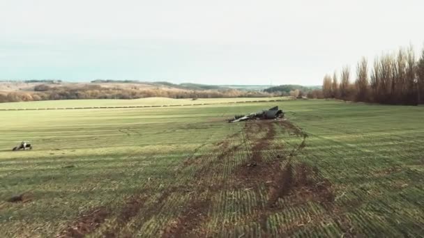Tym Nagraniu Samolot Leżący Polu Ukrainie Wypadku Wygląda Samolot Doznał — Wideo stockowe