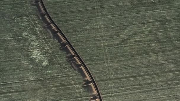 空中から見たウクライナの溝は 線形の方法で地面に掘られた防御構造です 保護とカバーを提供するためにジグザグパターンで構築されています — ストック動画