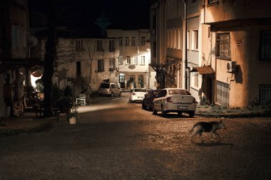 Bir grup evsiz kedinin loş sokaklarda teselli bulduğu bir İstanbul akşamının özü. Onların delici gözleri, kentsel yaşam alanlarında gezinirken hem esnekliği hem de savunmasızlığı yansıtır.