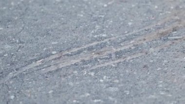 Ukrayna 'da savaş. Asfaltta bir mermi patlaması krateri. Yüksek kalite 4k görüntü