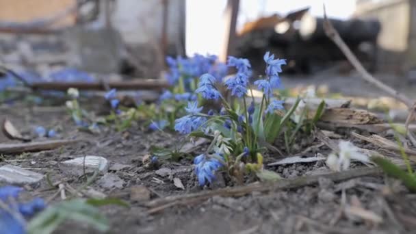 Imagen Captura Las Devastadoras Secuelas Los Ataques Con Bombas Ucrania — Vídeos de Stock