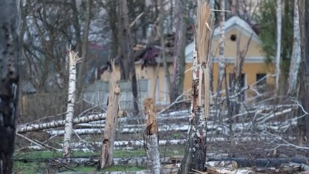 Rozbité Stromy Zničenými Domy Mezi Nimi Bombardování Válka Ukrajina Srdcervoucí — Stock video