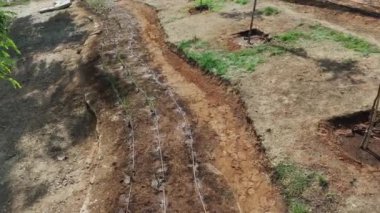 Bu büyüleyici insansız hava aracı saldırısı, Suudi Arabistan 'ın Riyad kentinin geniş çöl manzarasının iddialı yeşillendirme projesiyle buluştuğu dönüşümünü yakalar. Hava perspektifi gösteriyor ki