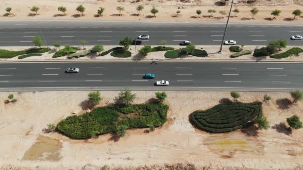 サウジアラビアのリヤドのこの魅惑的なドローンショットでは 市民が緑の空間を燃やしている道路を織ります 都市景観の上のイメージは調和した統合をキャプチャします — ストック動画