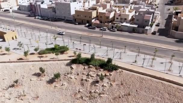 この魅惑的なドローンショットは 広大な砂漠の風景が市民の野心的な緑化プロジェクトを満たすサウジアラビアのリヤドの変革を捉えています 空中からの視点は — ストック動画