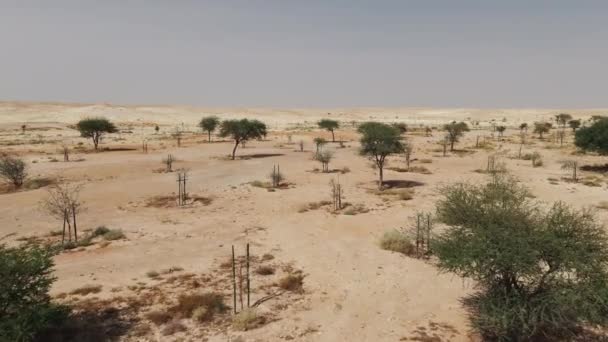 这个迷人的无人驾驶飞机镜头捕捉了沙特阿拉伯利雅得的转型 那里广阔的沙漠景观满足了首都雄心勃勃的绿化项目 空中透视显示了 — 图库视频影像