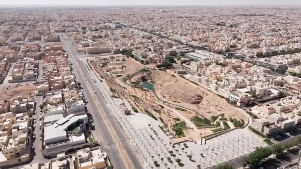 この魅惑的なドローンショットは 広大な砂漠の風景が市民の野心的な緑化プロジェクトを満たすサウジアラビアのリヤドの変革を捉えています 空中からの視点は — ストック動画