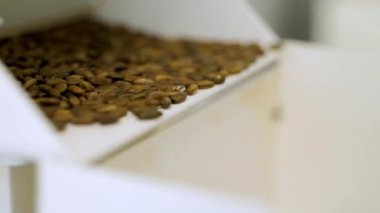 Tohum ekme çizgileriyle sıralama. Otomatik çizginin kendisi hassas tohum dağıtıcıları, bir taşıyıcı bant boyunca hareket eden tepsiler ve ekme delikleri oluşturmak ve tohumları kaplamak için istasyonlar olabilir