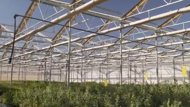 用于种植城市绿化植物的温室自动屋顶 创新的温室 每个温室都是为了使植物生长最大化 使沙漠中的城市绿化 高质量的4K镜头 — 图库视频影像