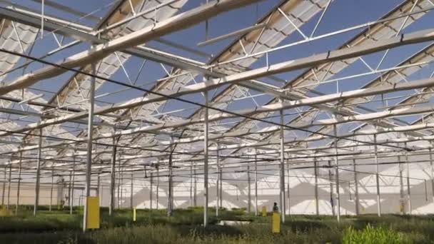 Automatisches Dach Von Gewächshäusern Für Den Anbau Von Pflanzen Für — Stockvideo
