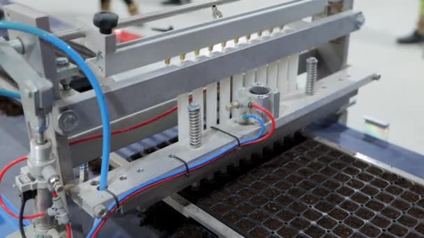 Seed Seedling Líneas Siembra Solución Modular Perfecta Para Viveros Imágenes — Vídeo de stock