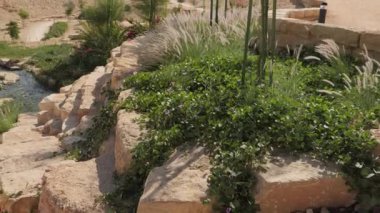 Yeşilliklerle çevrili sakin bir göl. Açık mavi su, kıyıları boyunca uzanan ağaçları ve bitkileri yansıtır. Bu şehir vahasının güzelliğini yüksek kaliteli 4K görüntülerle yakalayın..