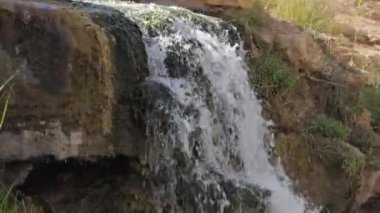 Yeşil ağaçlarla çevrili sakin bir gölet. Güneş ışığı yaprakların arasından süzülerek suyun üzerinde benekli gölgeler oluşturur. Arka planda, bir şelale kayalık bir uçurumdan aşağı dökülür ve sisi aşağıya gönderir.