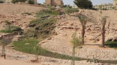 Parkta güneşli bir günde yeşil yapraklı uzun ağaçlar ve dolambaçlı bir çakıl yolu bulunur. Yol yemyeşil ağaçlar ve çalılarla çevrili. Parktaki ağaçların huzur veren güzelliğini gösteren bir görüntü.