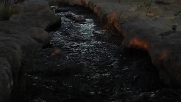 緑の木や茂みに囲まれた小さな澄んだ池 前景では 岩の上に滝のカスケード 夜の設定に最適な高品質の4K映像でこの静かなシーンをキャプチャする — ストック動画