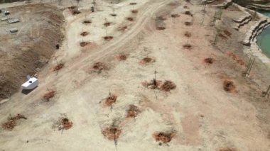 Sıraları küçük, yeşil ağaçlar olan bir alan. Ağaçlar şebeke şeklinde dikilmiş, aralarında da çıplak toprak parçaları var. Uzakta, daha fazla ağaç var, bazıları daha büyük ve daha fazla görünüyor.