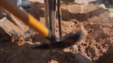 Genç bir ağacın dikildiği bir toprak yığınının etrafında bir grup insan duruyor. Ön planda takım elbiseli ve kravatlı bir adam bir küreğe yaslanıyor. Arkasında, iş kıyafeti giymiş bir kadın vardı.