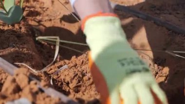 Bir adam toprağa tohum ekiyor. Adam sağ dizinin üzerinde kahverengi bir toprak parçasının üzerinde diz çöküyor. O, mavi uzun kollu gömlek, kot pantolon ve kahverengi iş botları da dahil olmak üzere günlük giysiler giyiyor. İçeri