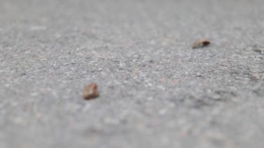 Ukrayna 'da bir Rus hava saldırısında ağır hasar gören araba tekerleğinin yanında duran mermi parçaları. Düzinelerce bina tamamen yıkıldı, çatılar çöktü ve duvarlar un ufak oldu.