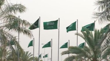 Suudi Arabistan 'da bir sürü ulusal bayrak var. Bu çarpıcı videoda, Suudi Arabistan 'ın en büyük bayrağı açıldı ve görkemli bir şekilde halka açık bir yerde dalgalanıyor. Koyu yeşil arka planı ve cüretkar