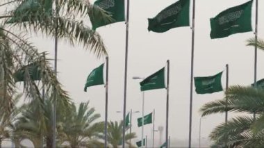 Suudi Arabistan 'da bir sürü ulusal bayrak var. Bu çarpıcı videoda, Suudi Arabistan 'ın en büyük bayrağı açıldı ve görkemli bir şekilde halka açık bir yerde dalgalanıyor. Koyu yeşil arka planı ve cüretkar