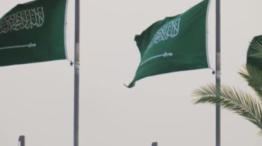 Suudi Arabistan 'da bir sürü ulusal bayrak var. Bu çarpıcı videoda, Suudi Arabistan 'ın en büyük bayrağı açıldı ve görkemli bir şekilde halka açık bir yerde dalgalanıyor. Koyu yeşil arka planı ve cüretkar