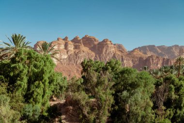 Alula 'daki yemyeşil vaha, Suudi Arabistan çöl dağlarının ortasındaki yeşillik. Suudi Arabistan 'ın başkenti Alula' da, kumtaşı dağları ve yeşil palmiye ağaçlarıyla çevrili çarpıcı, gür bir vaha. Bu grev