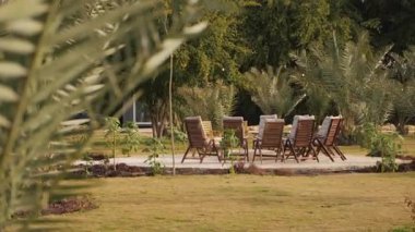 Palm Oasis 'te açık hava ateş kuyusu. Video kaydı. KSA. Bir taş ateş çukurunun etrafında, yemyeşil palmiye ağaçlarıyla çevrili, rahat bir açık hava oturma alanı düzenlenir. Rahat yastıklı sandalyeler mükemmel olur.