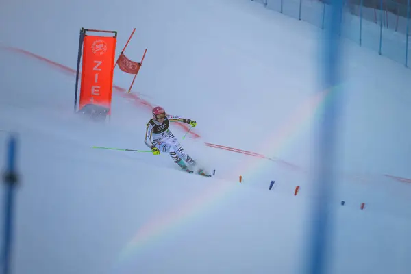 Almanya 'da kar yamacında Alp disiplini kayak yarışması. Almanya 'da bir Alp disiplini kayak yarışında yokuş aşağı yarışan profesyonel kayakçı. Aksiyon spor fotoğrafları hız, kış sporu ve