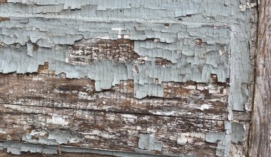 Çatlamış eski ahşabın soyut arkaplanı ve boya katmanları