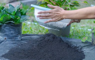 Preparation of soil mixture from fertile compost, humus and vermiculite on  black garbage bag floor in garden. Mixing the soil components for the preparation of the substrate for transplanting plants.