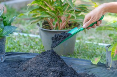 Preparation of soil mixture from fertile compost, humus and vermiculite on  black garbage bag floor in garden. Mixing the soil components for the preparation of the substrate for transplanting plants.