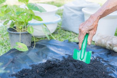Preparation of soil mixture from fertile compost, humus and vermiculite on  black garbage bag floor in garden. Mixing the soil components for the preparation of the substrate for transplanting plants.