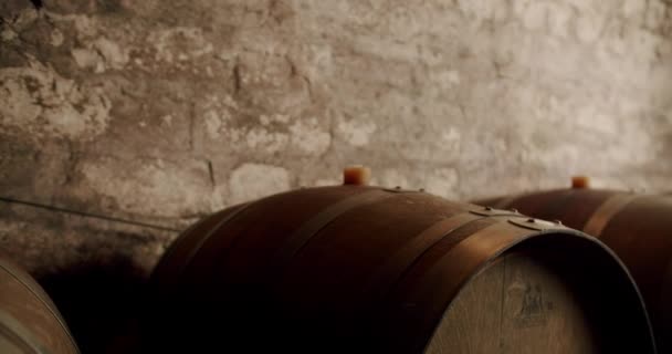 Traditionele Wijnmakerij Gerijpte Houten Vaten Met Een Wijn Cognac Whisky — Stockvideo