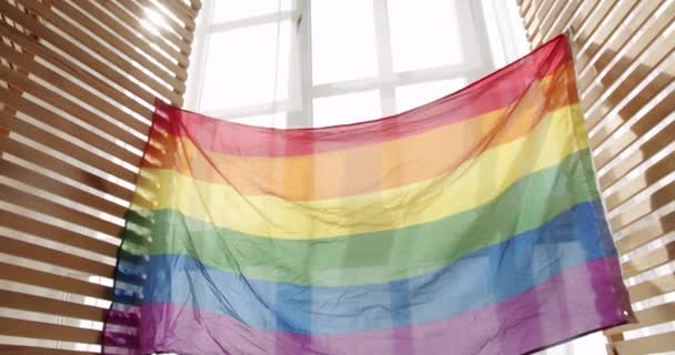 Romantik Und Lesbisches Und Schwules Paar Lgbt Rechte Lesbische Familie — Stockvideo