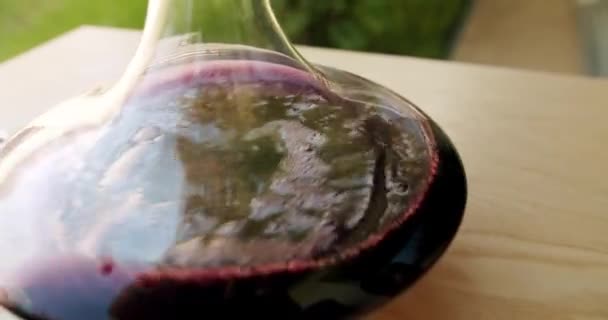 ソムリエが遅い動きでデカンタで赤ワインを振る ワイナリーのコンセプト デカンターと赤ワインのグラス 預金や匂いのワインをきれいにする それが提供される前に — ストック動画