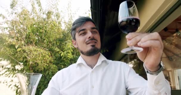 Pozitivní Sommelier Míchání Červeného Vína Skle Vyhodnocování Barvy Degustaci Vinař — Stock video